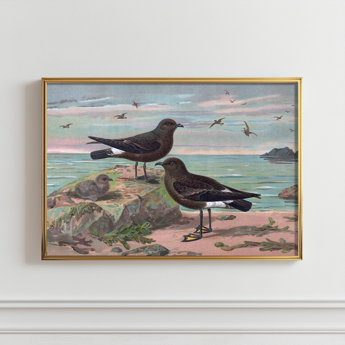 Seaside Avian Harmony