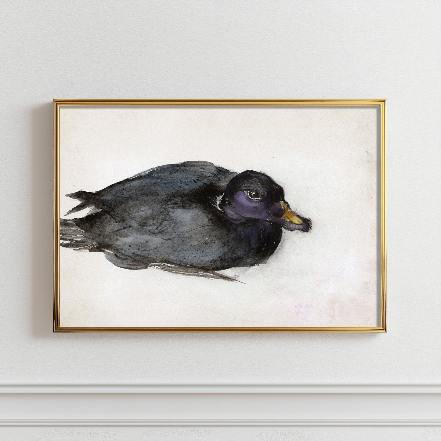 Mysterious Waterfowl Portrait
