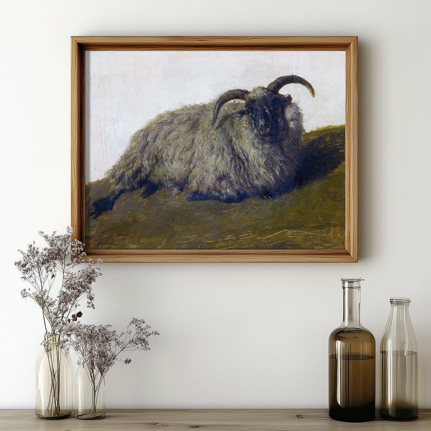 Resting Woolly Muse