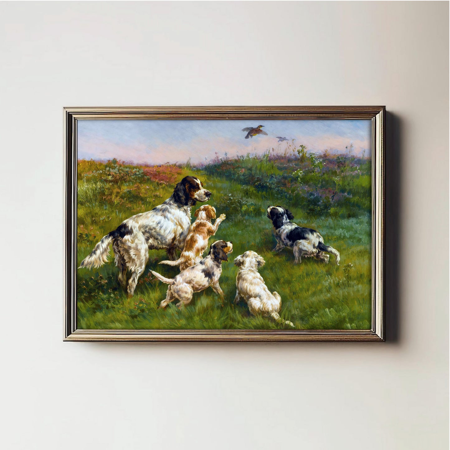 Field Playful Canines