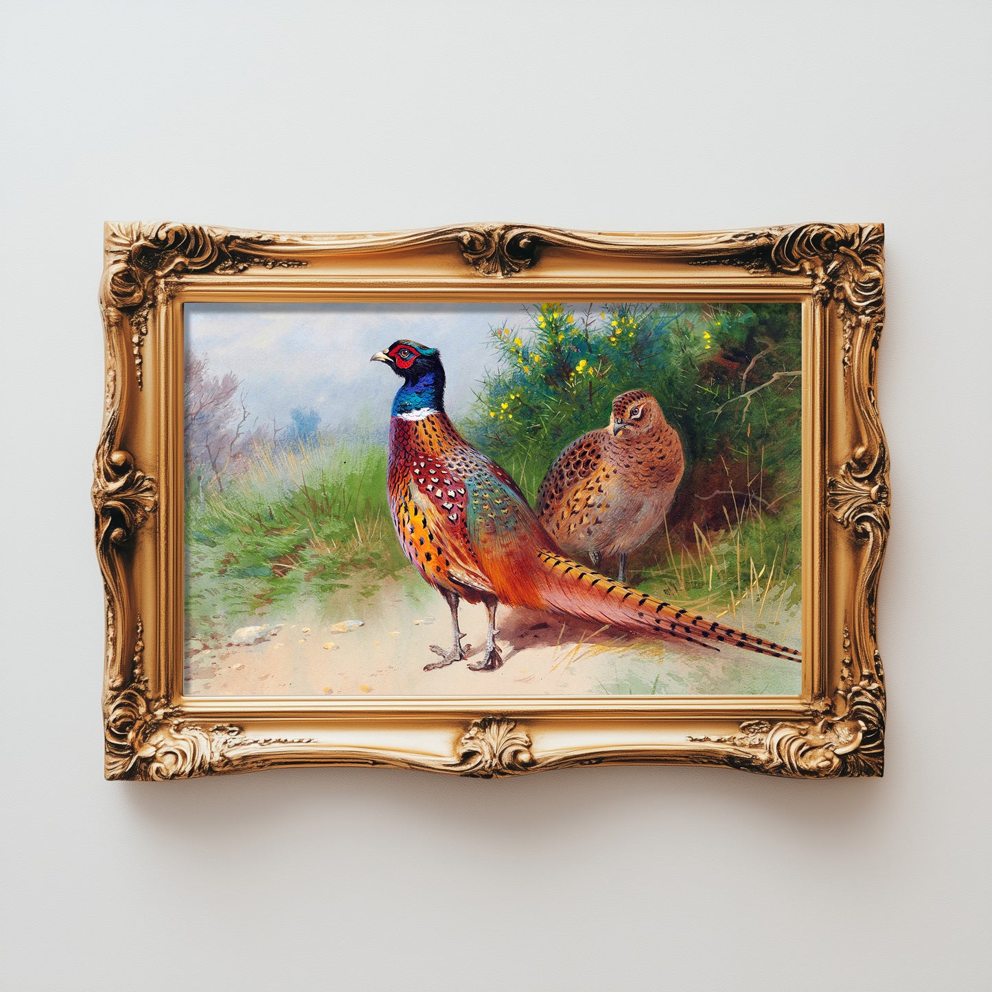 Vibrant Pheasant Pair