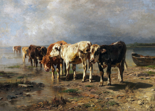 Cattle by the Shore