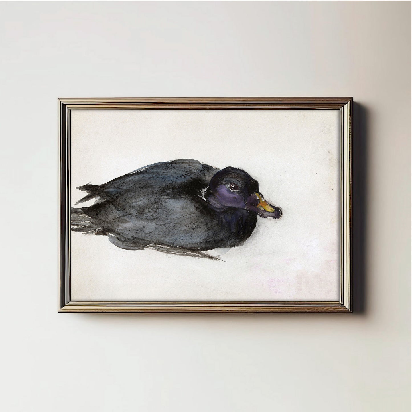 Mysterious Waterfowl Portrait