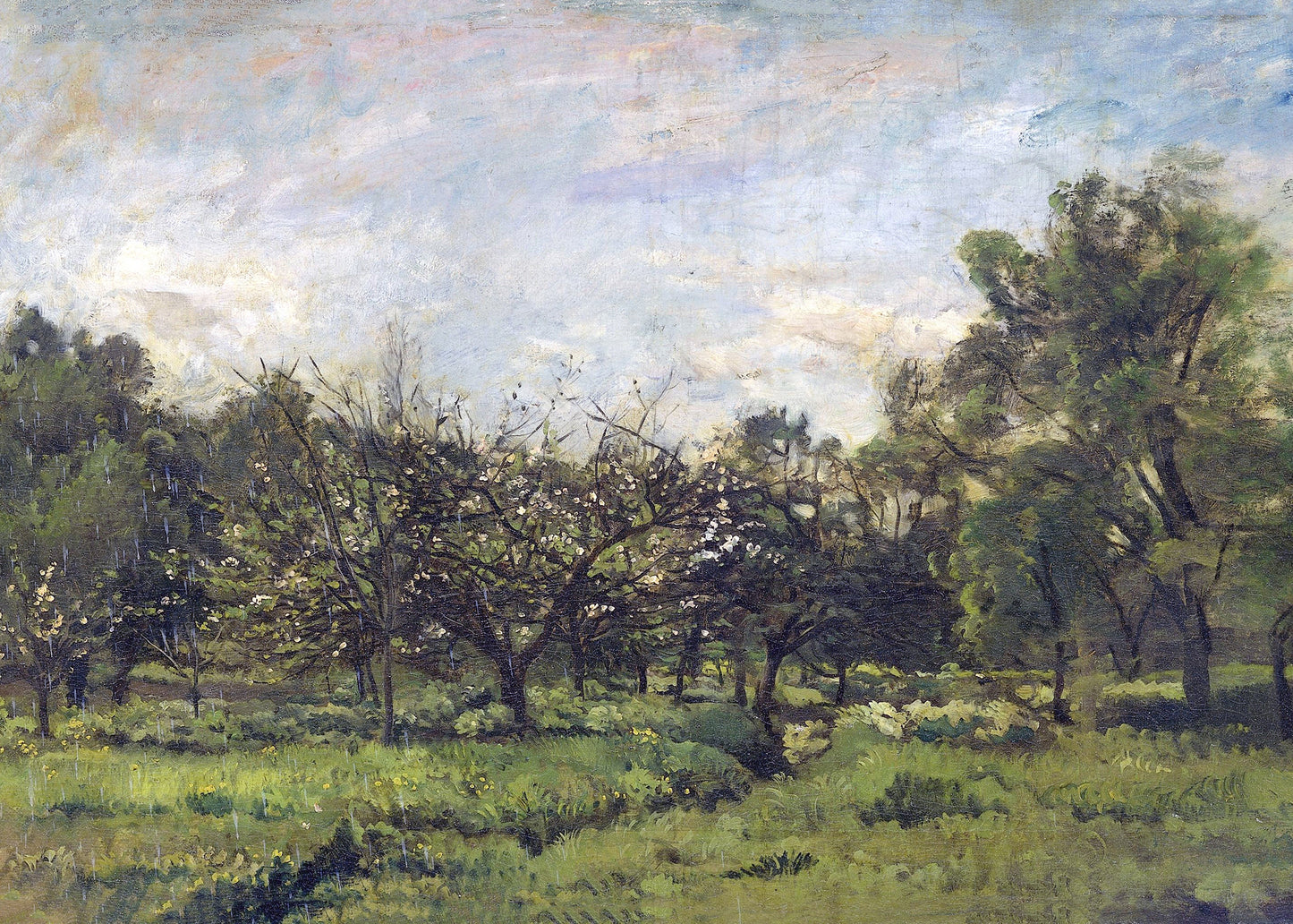 Spring Orchard Tranquility