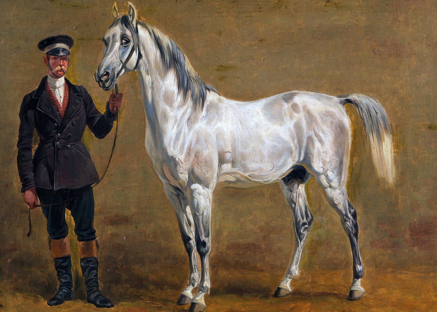 Regal Equine Presence