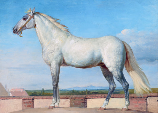 Majestic Equine Portrait