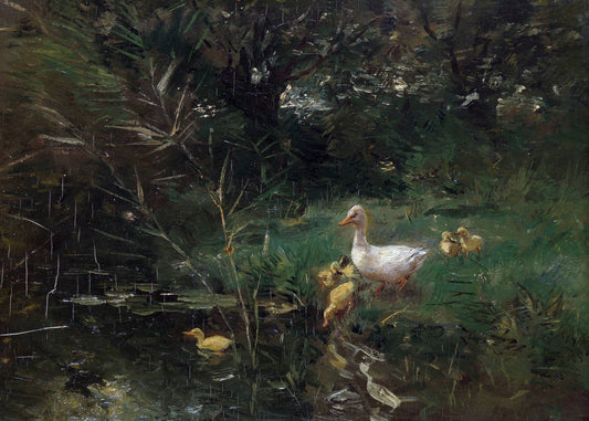 The Duckling Pond