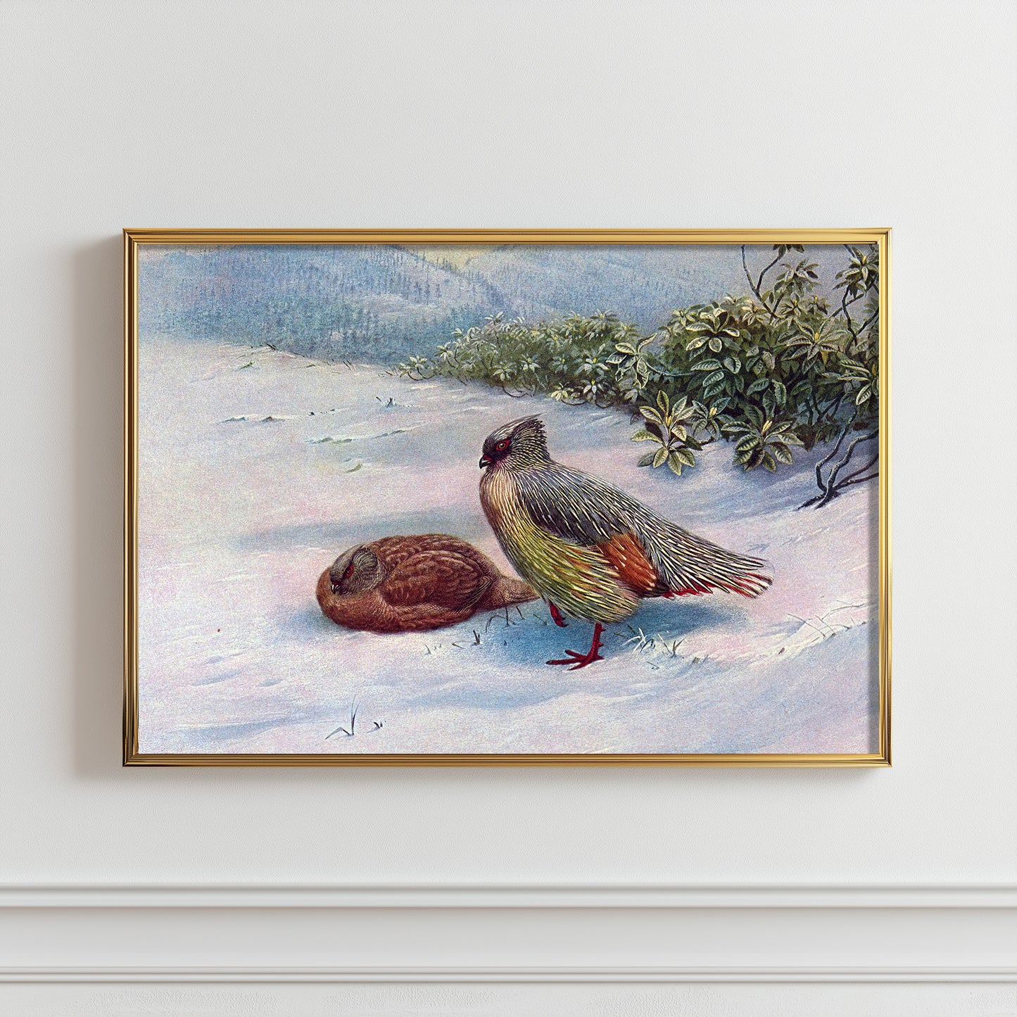 Winter Quail Serenity