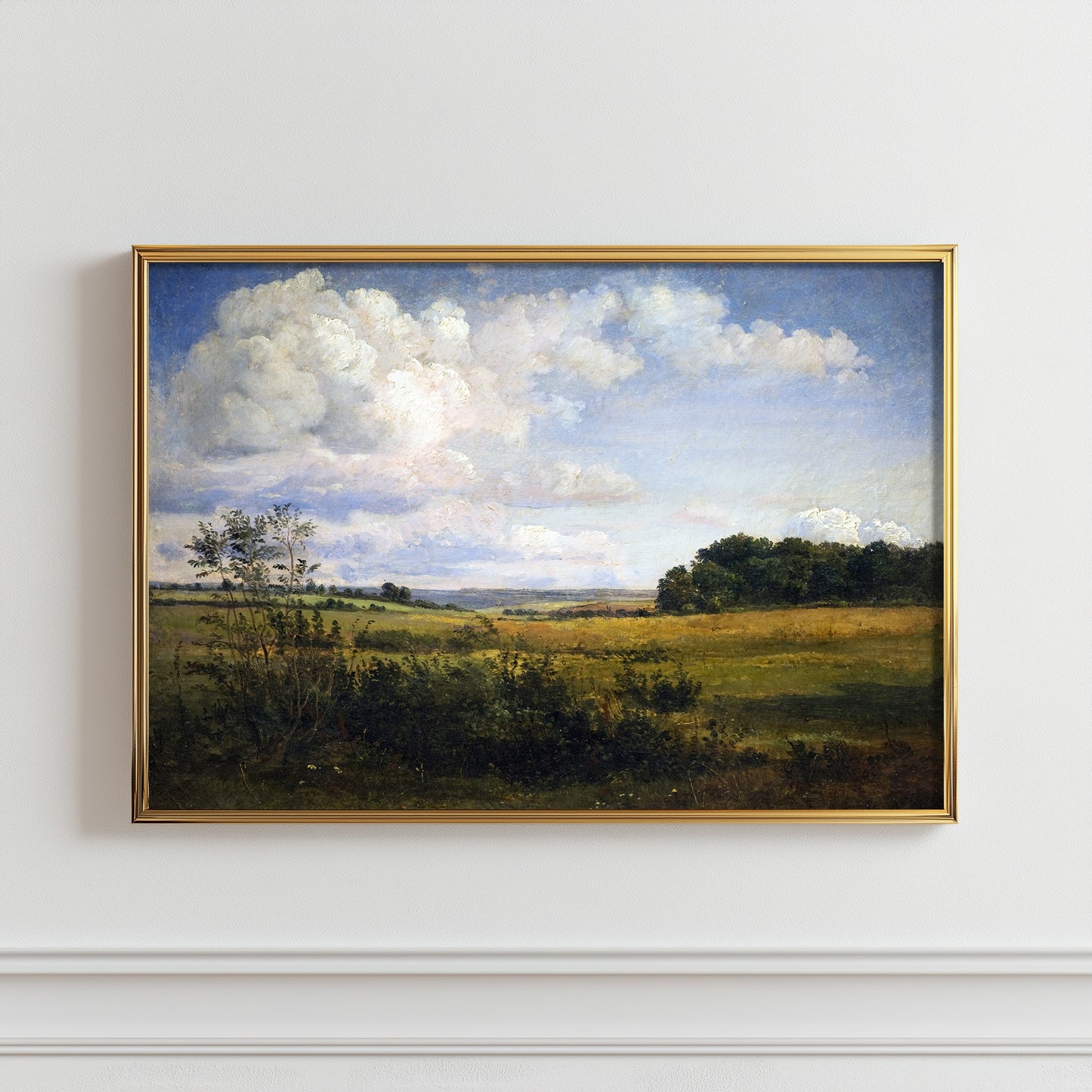 Cloudy Summer Meadow
