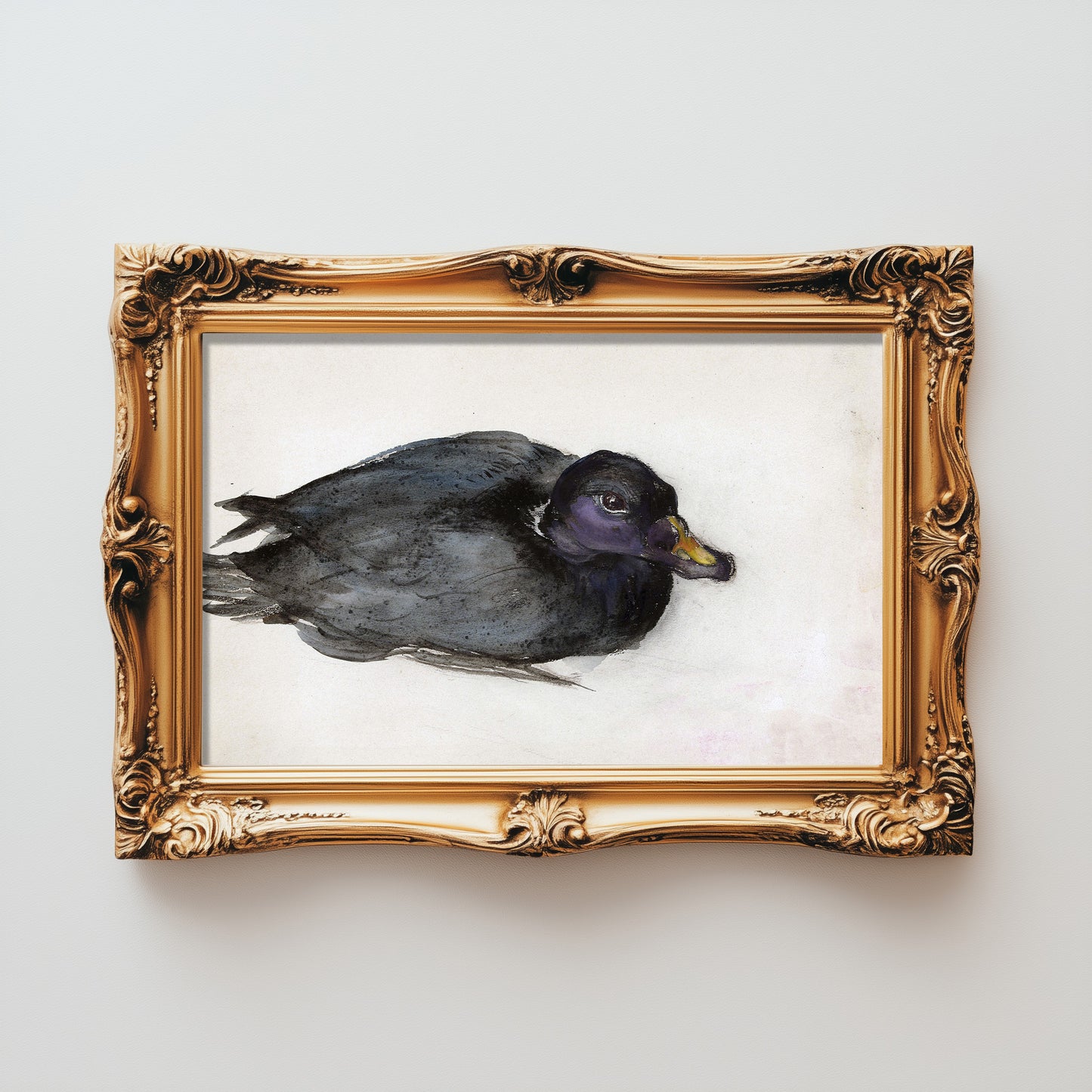 Mysterious Waterfowl Portrait