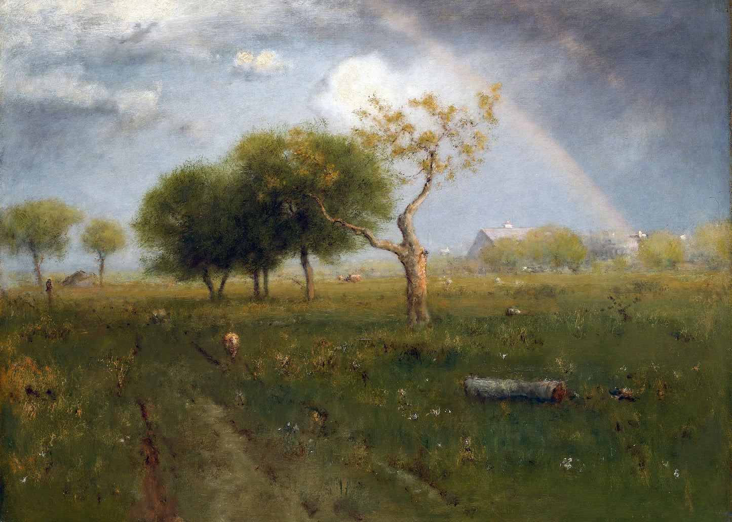 Rainbow Meadow