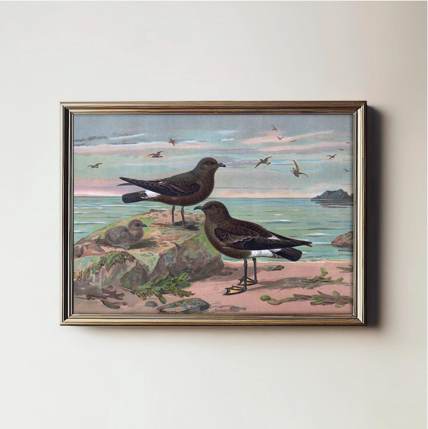 Seaside Avian Harmony