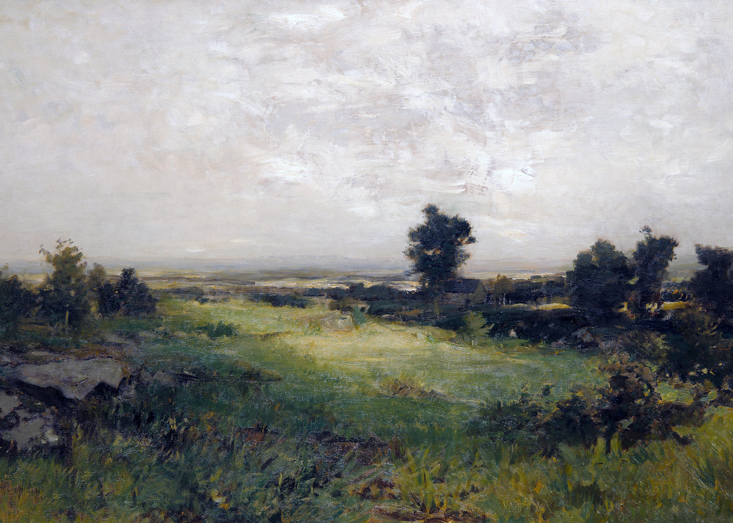Serene Meadow Vista