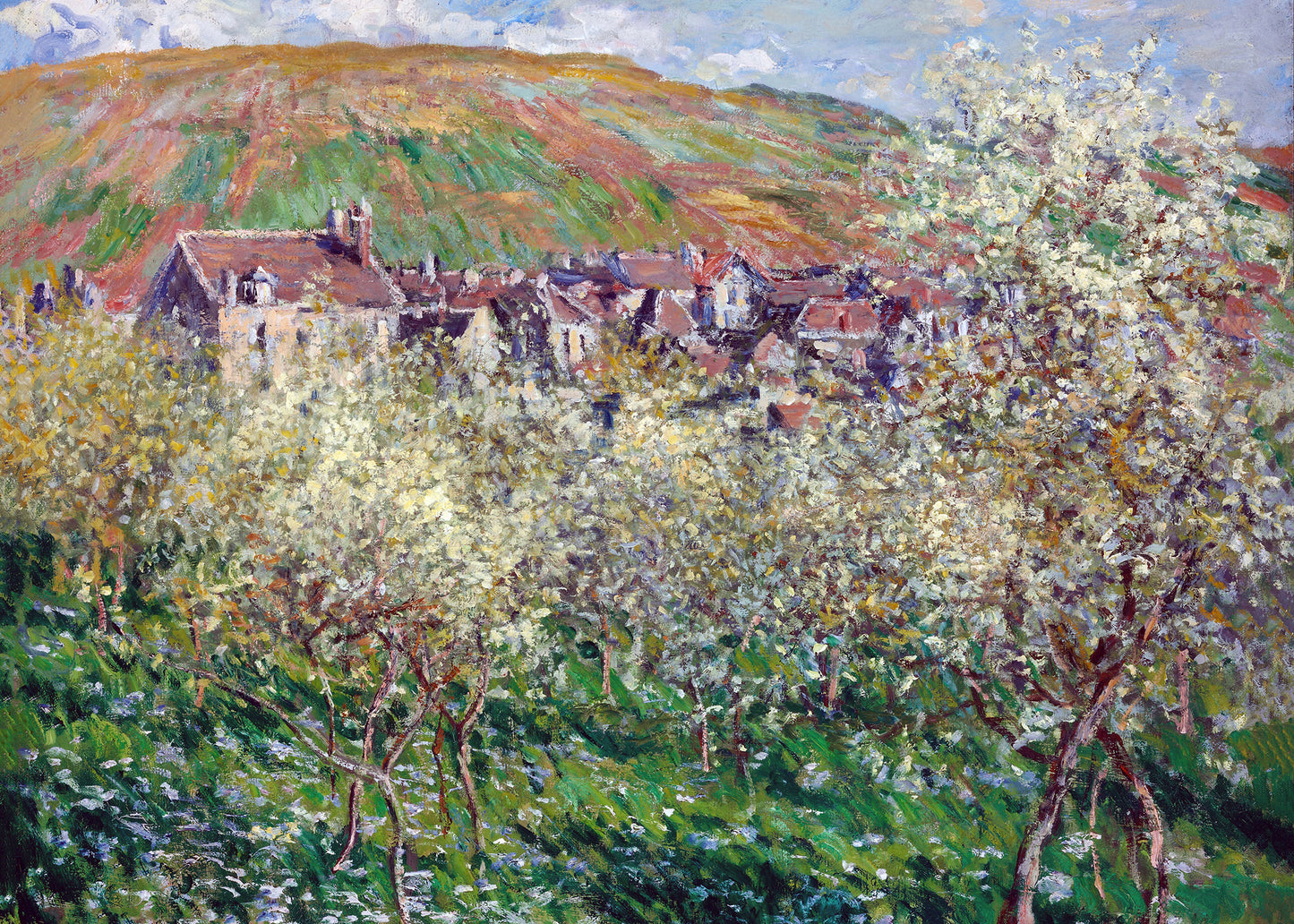 Springtime Village View