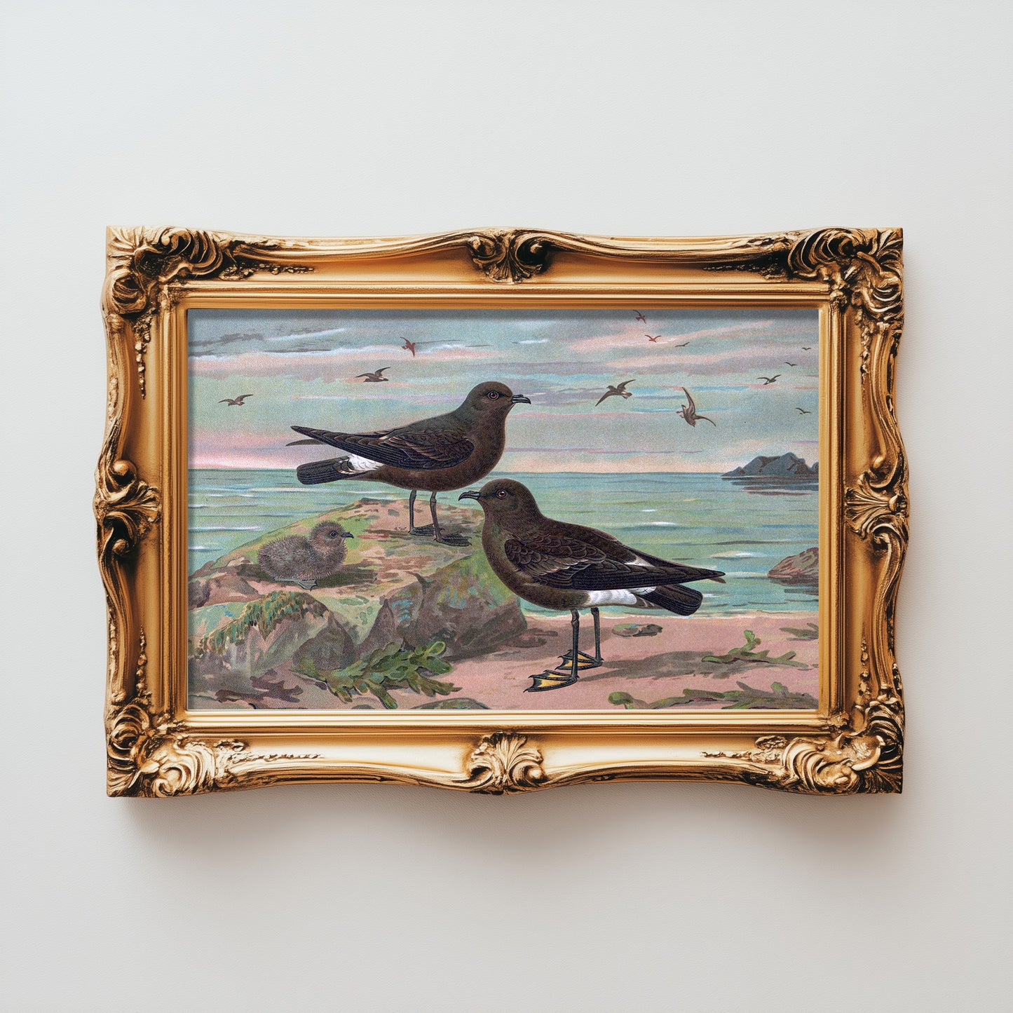 Seaside Avian Harmony