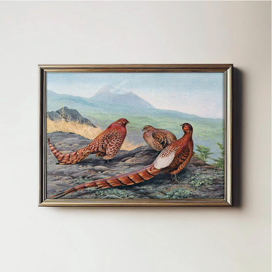 Majestic Pheasant Trio