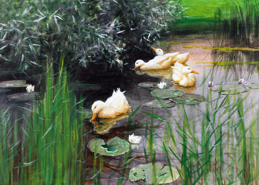 Serene Pond Ducks