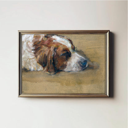 Restful Canine Dream