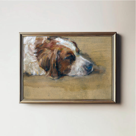 Restful Canine Dream
