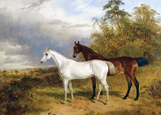 Equine Serenity