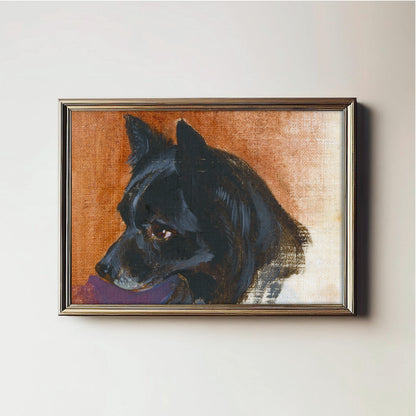 Contemplative Canine