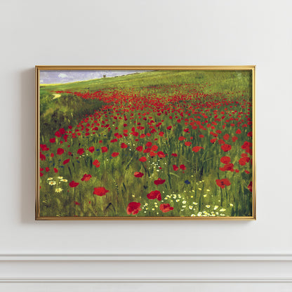 Poppy Field Dreams