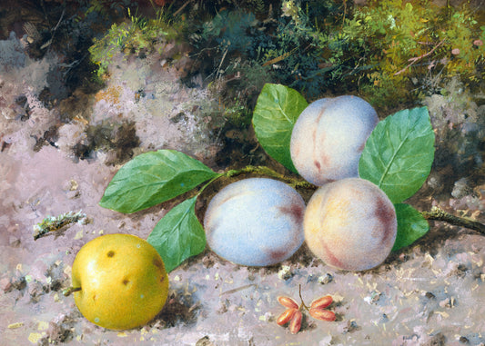 Forest Fruits Harmony