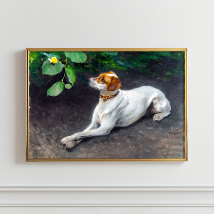 Contemplative Dog