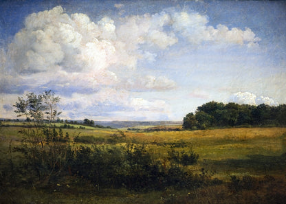 Cloudy Summer Meadow