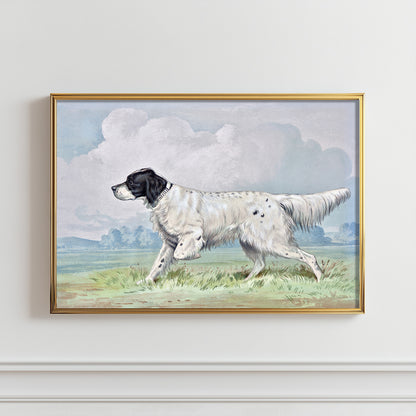 Graceful Canine Stride