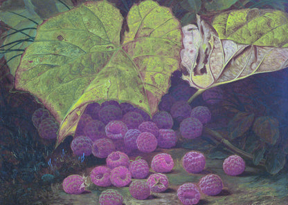 Raspberry Reverie