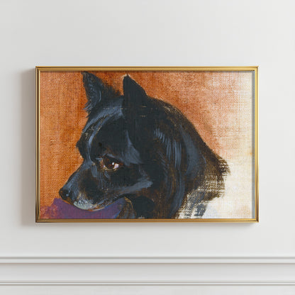 Contemplative Canine