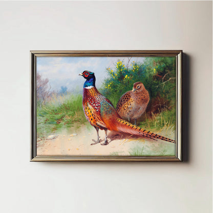 Vibrant Pheasant Pair
