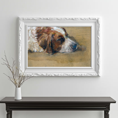 Restful Canine Dream