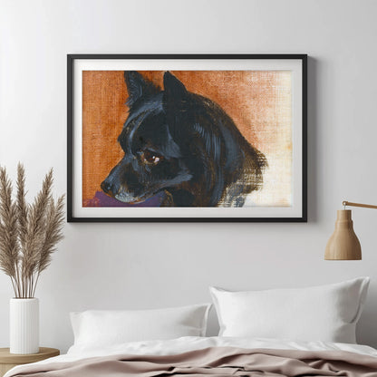 Contemplative Canine