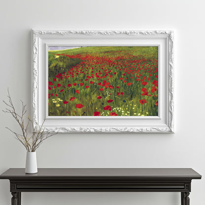 Poppy Field Dreams