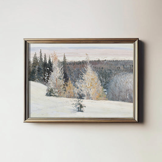 Winter's Quiet Embrace