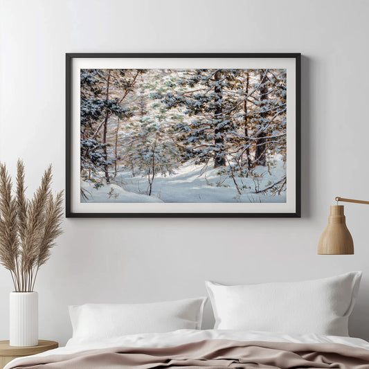 Winter Forest Moment