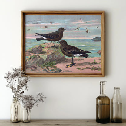 Seaside Avian Harmony