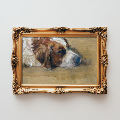 Restful Canine Dream