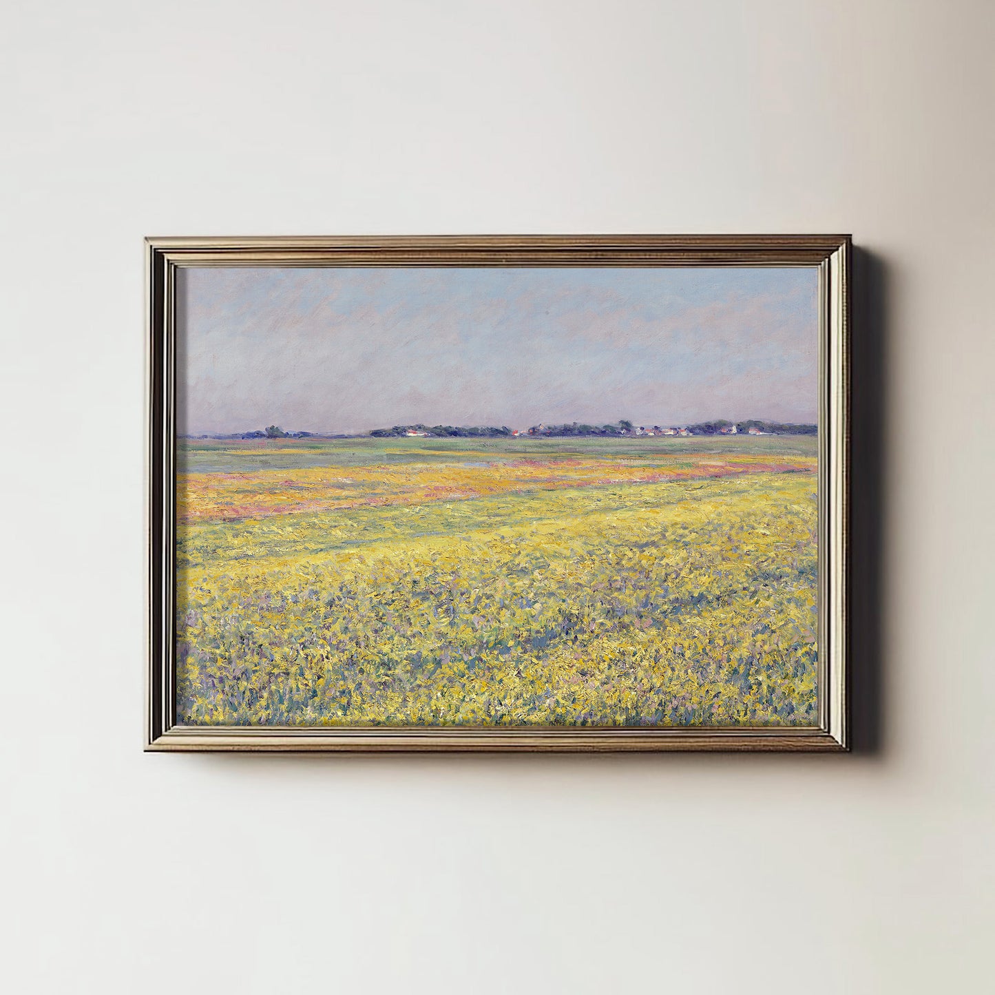 Sunlit Meadow Panorama