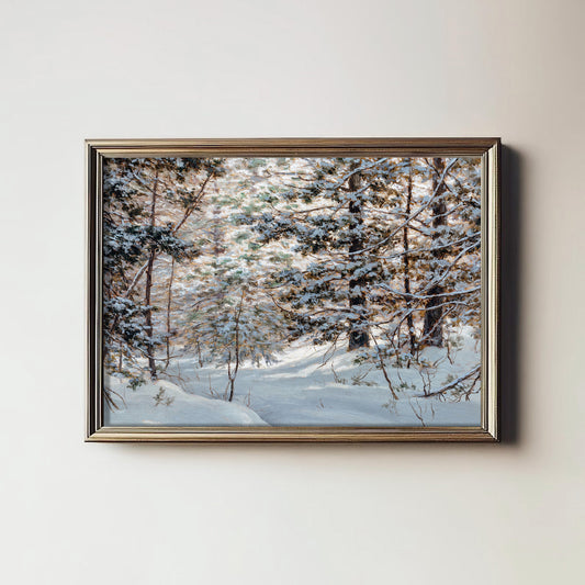 Winter Forest Moment