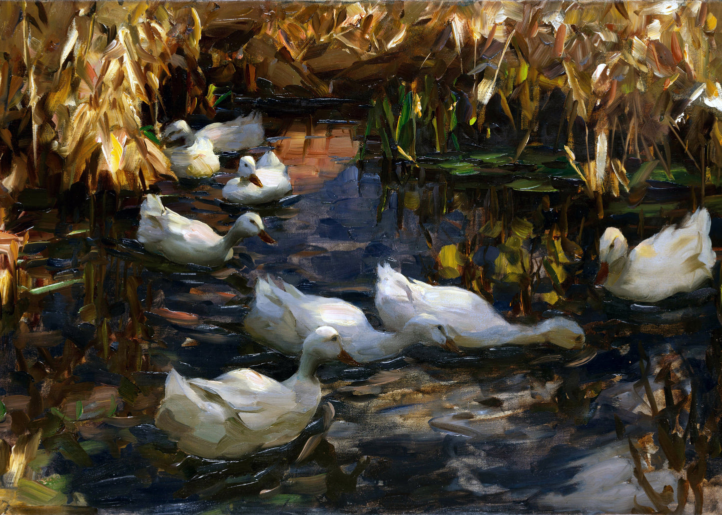 Autumn Pond Serenade