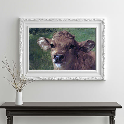 Gentle Gaze Calf