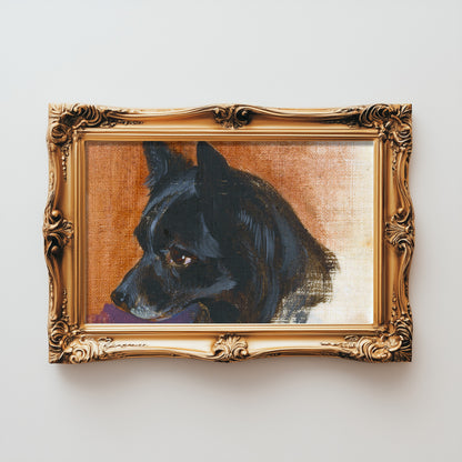 Contemplative Canine