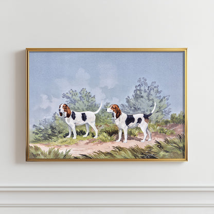 Field Companion Duo