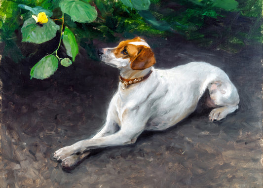 Contemplative Dog