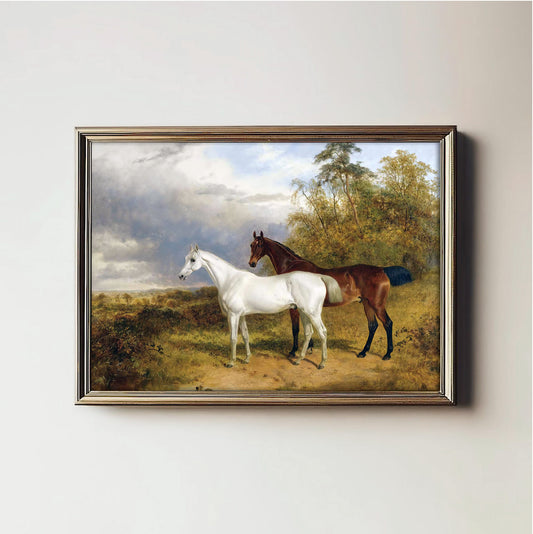 Equine Serenity
