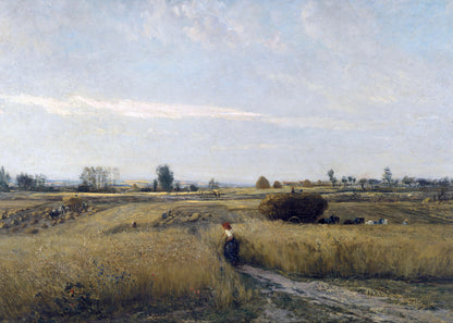 Harvested Horizon