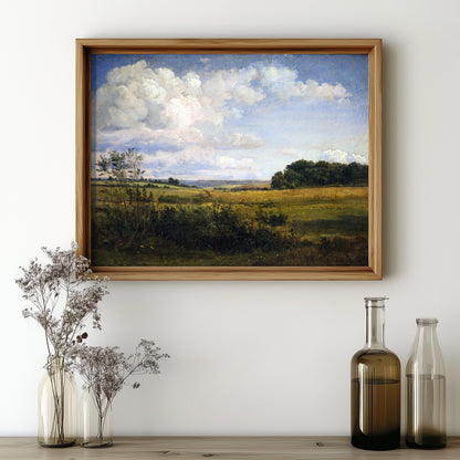 Cloudy Summer Meadow